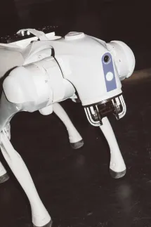 SPL KLN – MONEYLAND Roboter Hund