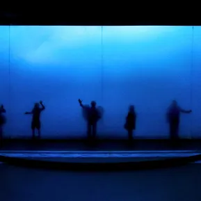 FAUST - Ensemble