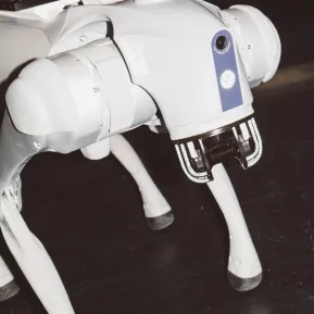 SPL KLN – MONEYLAND Roboter Hund