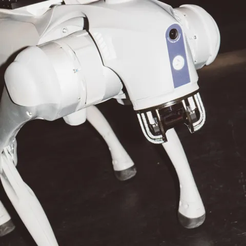SPL KLN – MONEYLAND Roboter Hund